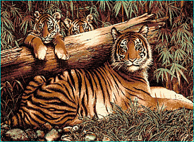 Ковер с тигром Фауна 50903