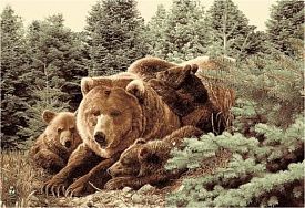 Ковер с пейзажем Фауна 50633 Медведь